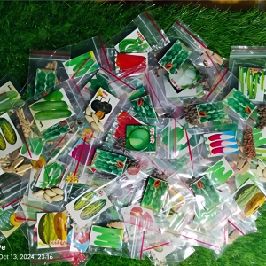 ৩৩ আইটেমের ১২ মাসী ফলনের বীজ - 33 Item Seed